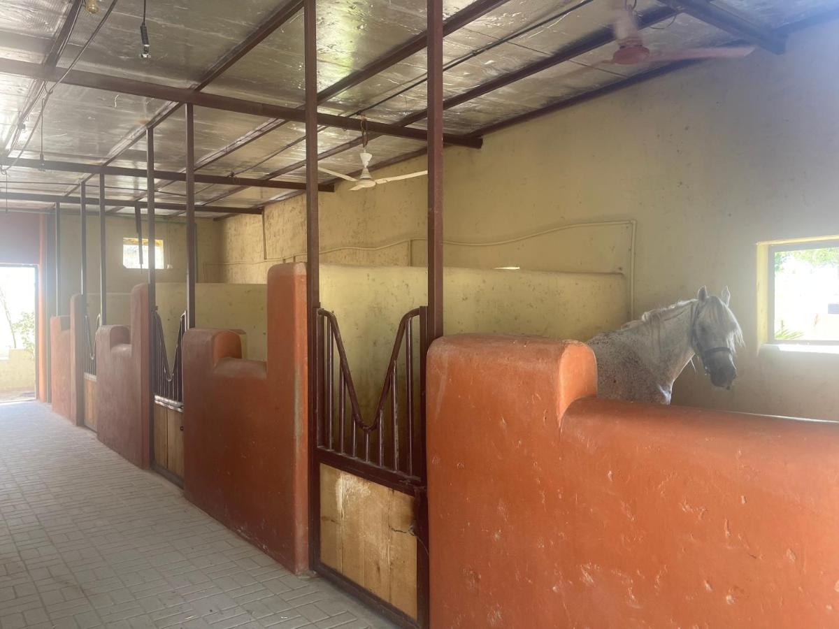 Al Bait Resort With Private Swimming Pools -Hrs Stables Al Hamraniyah Exterior foto