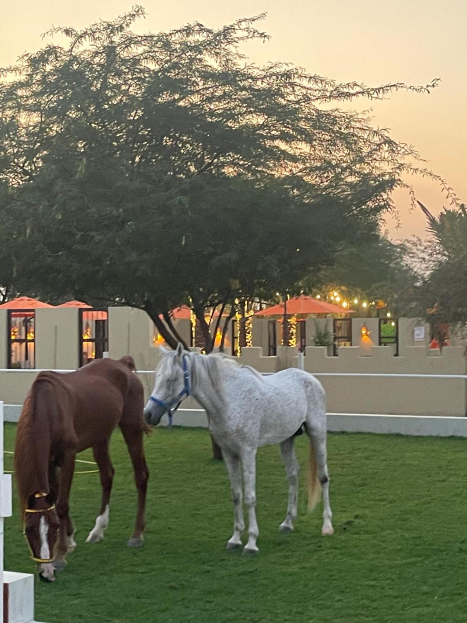 Al Bait Resort With Private Swimming Pools -Hrs Stables Al Hamraniyah Exterior foto